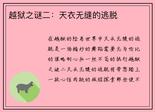 越狱之谜二：天衣无缝的逃脱